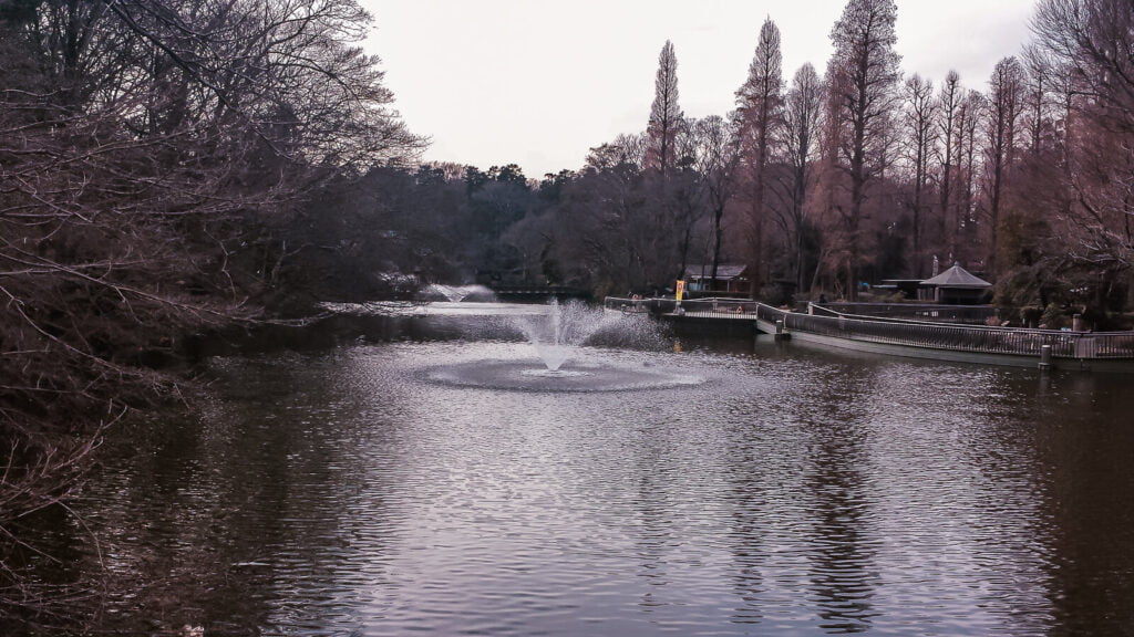 A fountain at Inokashira Park