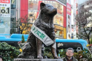 Shibuya Crossing