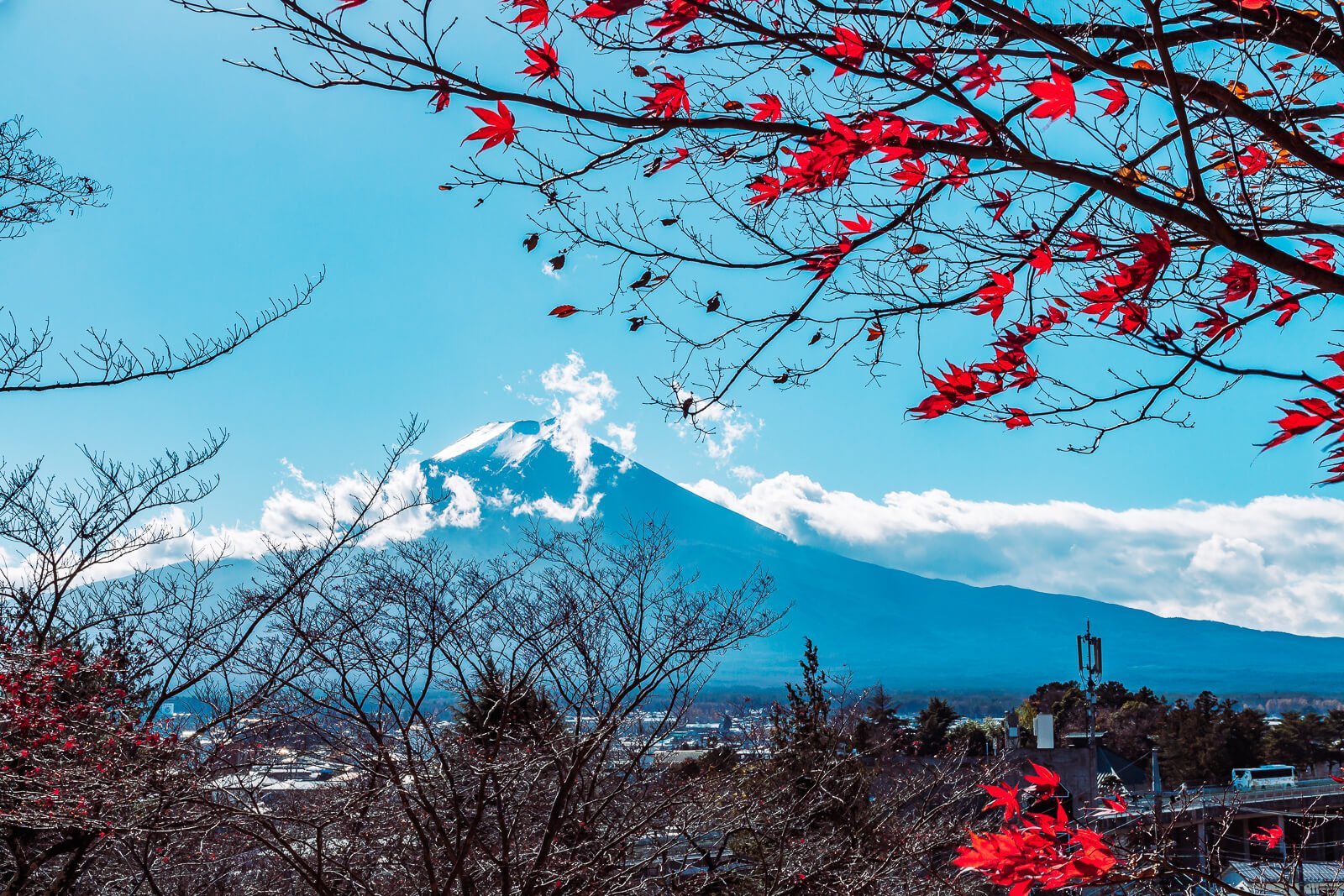 Mount Fuji environmental impact