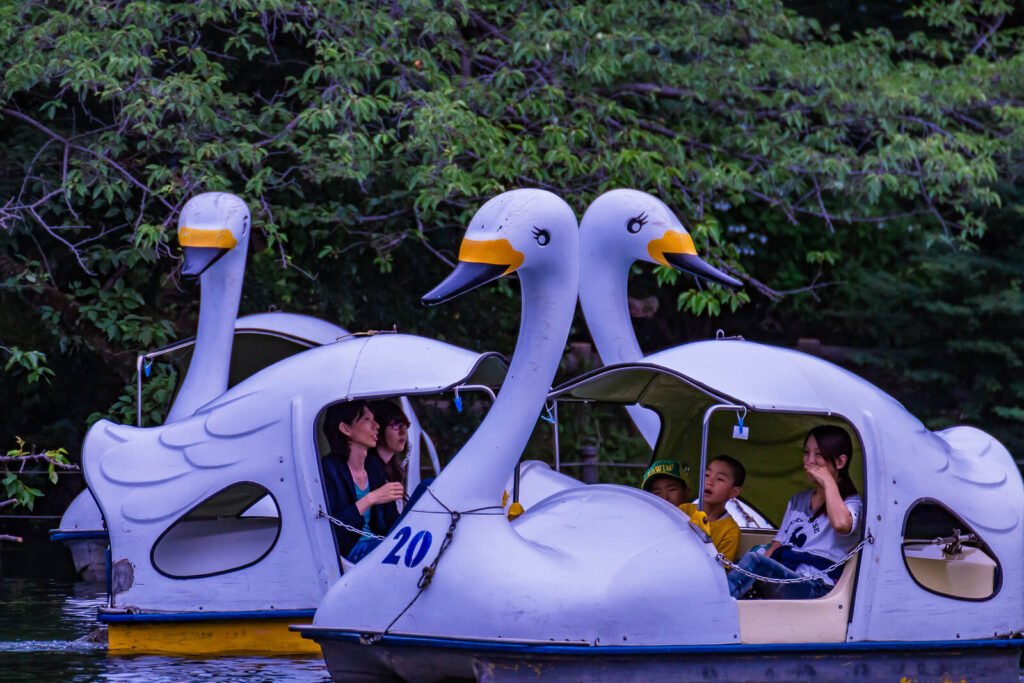 Kichijoji boating