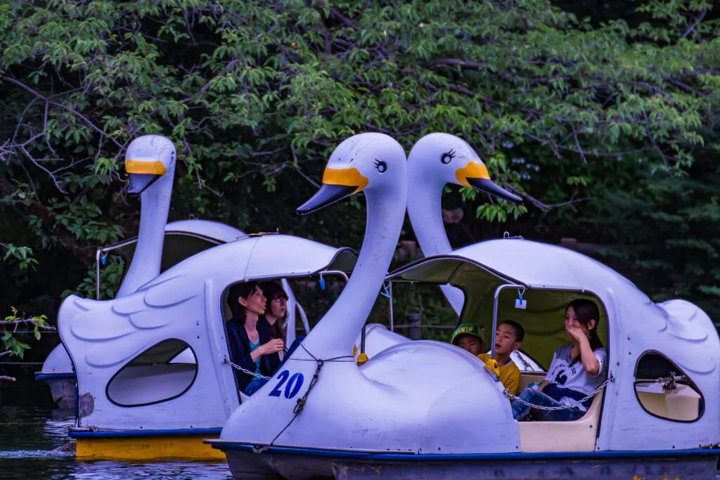 Kichijoji boating