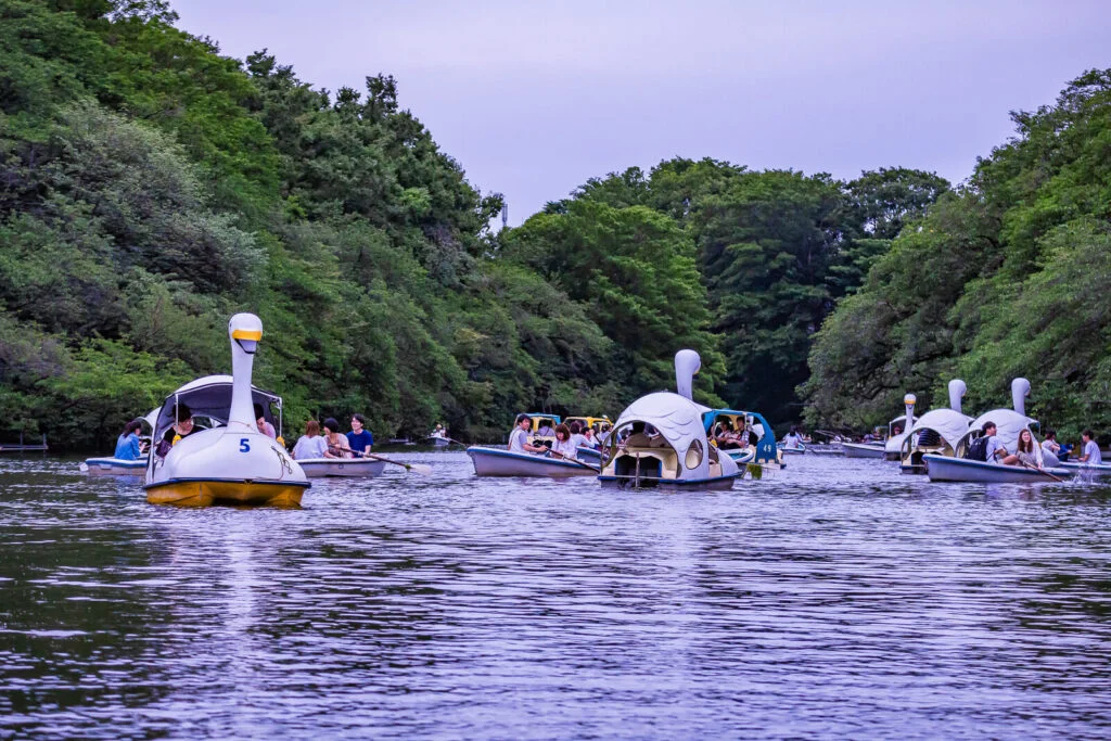 Kichijoji Inokashira Park