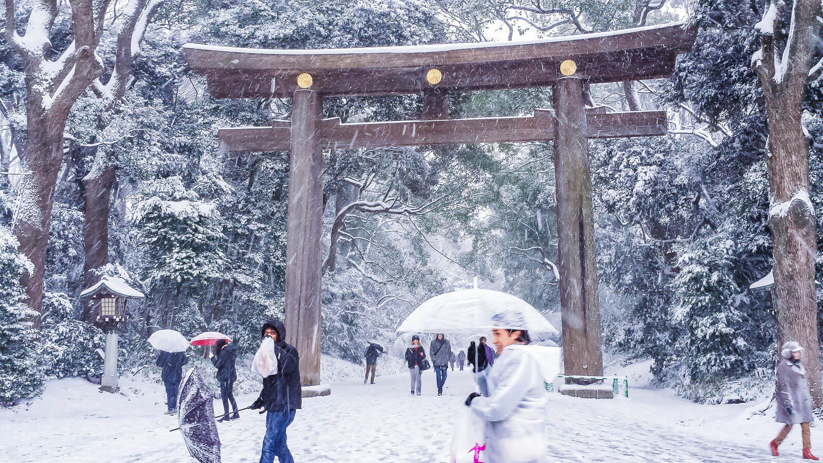 Meiji Jingu Shrine Torii Gate