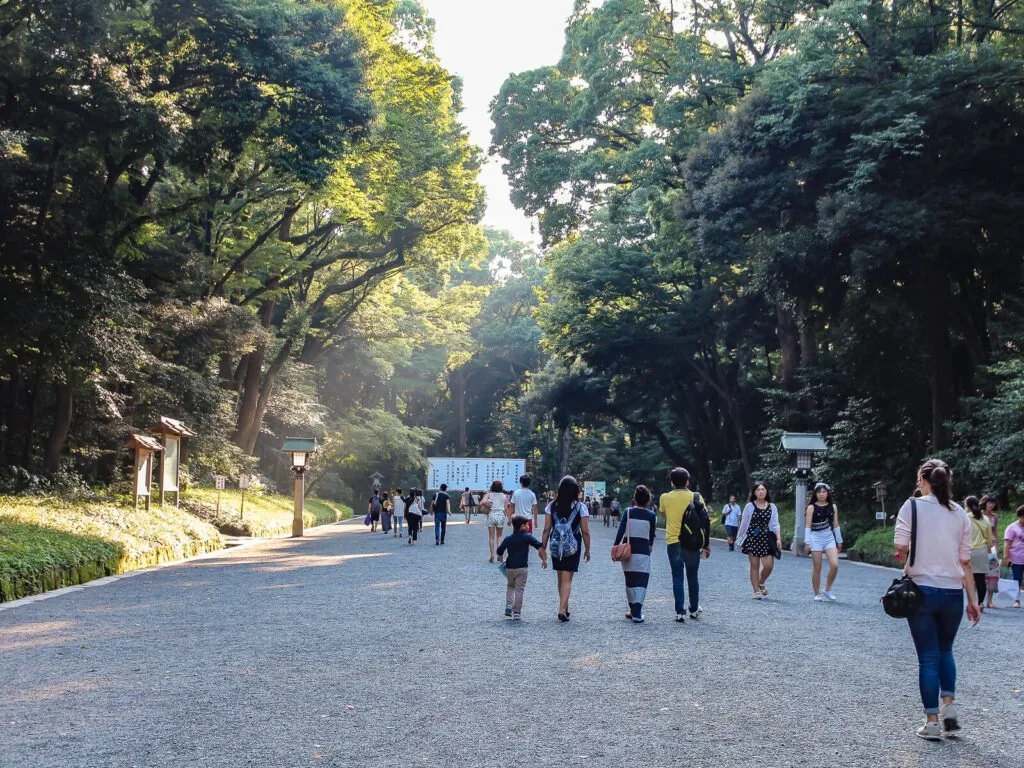 Meiji Shrine path