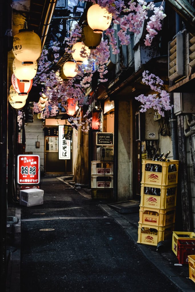 Kichijoji Harmonica yokocho