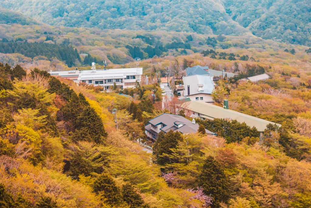 Aerial view of Hakone town nestled among colorful autumn trees.