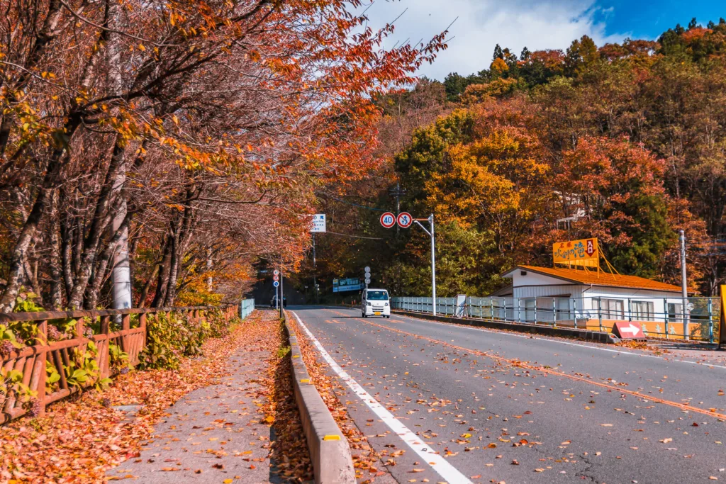 Autumn leaves scattered around the roads of Nikko, creating a colorful seasonal scene.