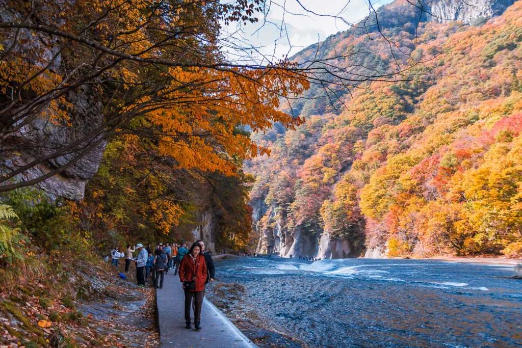 Fukiware Falls near Nikko with autumn leaves in the background and tourists enjoying the view.