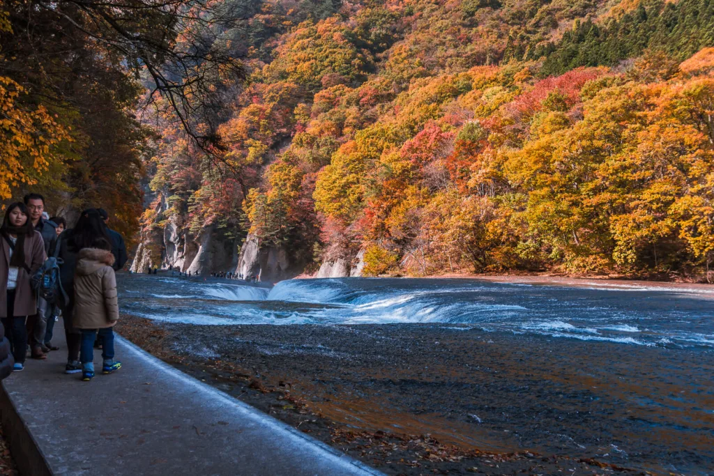 Tourists near Fukiware Falls in Nikko, surrounded by vibrant autumn leaves in the background.