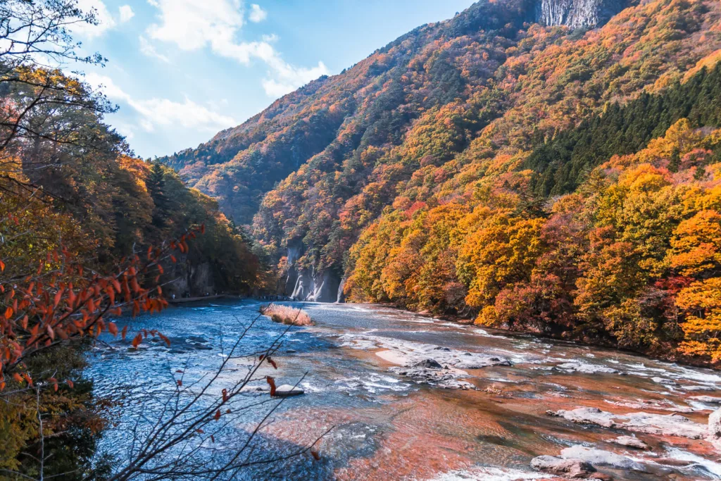 A view of Fukiware Falls in Nikko from the bridge, with vibrant autumn leaves in the background.