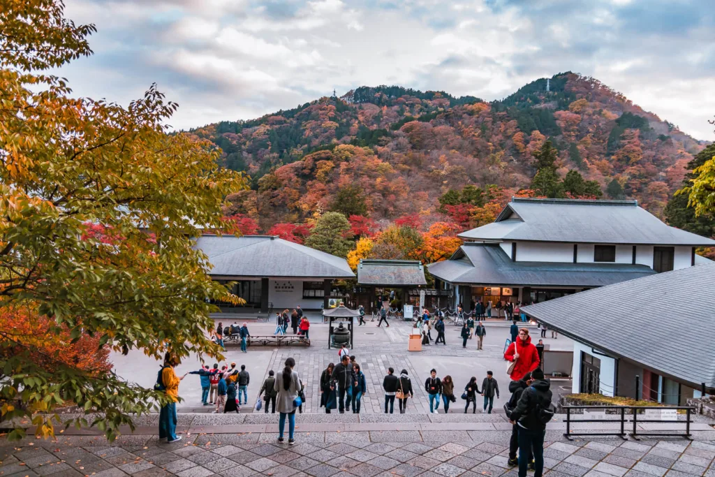 A view from outside the main hall of Rinnoji Shrine, showcasing vibrant greenery mixed with autumn colors in the evening light at Nikko.