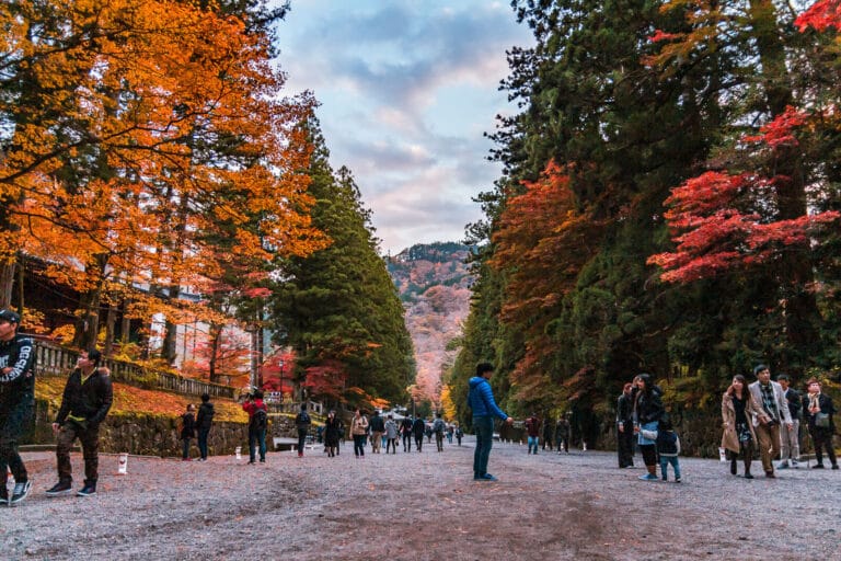 A scenic path leading to Rinnoji Shrine in Nikko, flanked by vibrant autumn foliage on both sides during daytime.