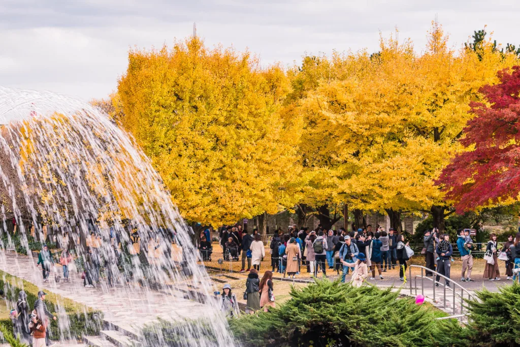 Yellow leaves at Shoga Kinen Park with a water fountain in foreground.