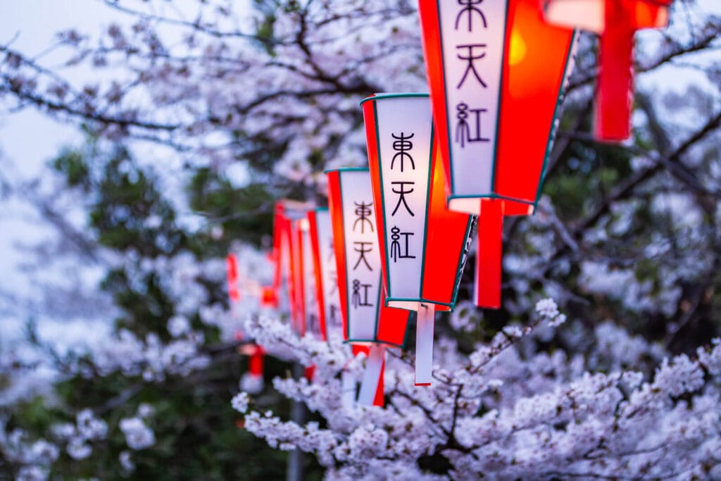 The photo shows sakura flowers and lanterns at Ueno park