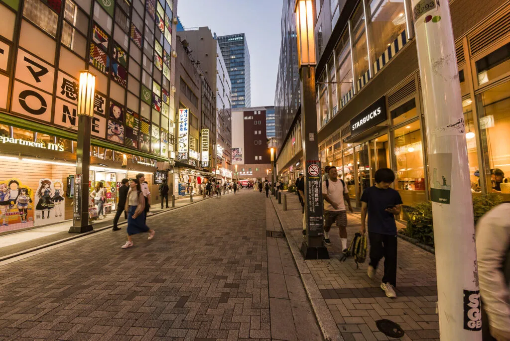 An evening view near Akihabara Station.