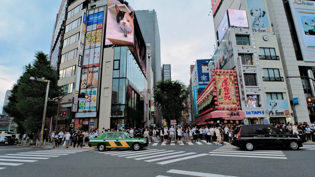 Cat Billboard Shinjuku in the evening.
