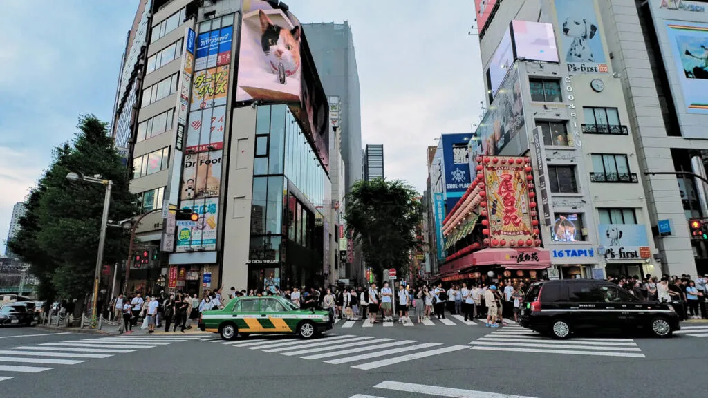 Cat Billboard Shinjuku in the evening.